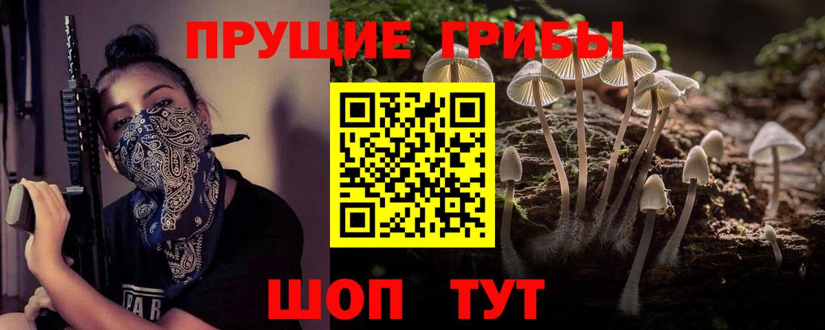 Дмитров  Псилоцибиновые грибы Magic Shrooms  Вход с VPN 